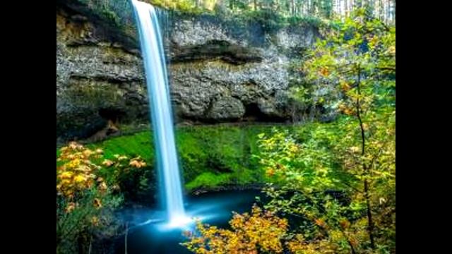 Михаил Юрьевич Лермонтов - Дубовый листок (читает Виктория Филина) смотреть онлайн