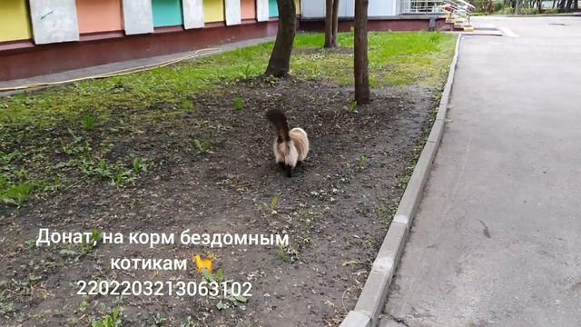 4 мая 2024 г..mp4 смотреть онлайн