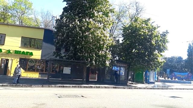 Как цветут каштаны? смотреть онлайн