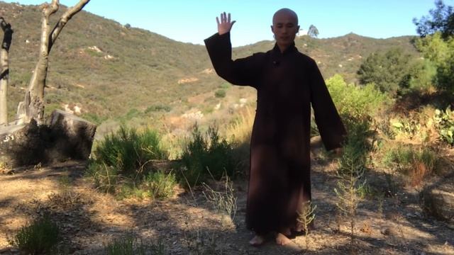 5 Minute Qigong/Slap 2 Knees