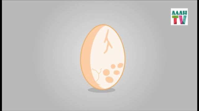 ТҮСТЕР. Тустер казакша. Цвета на казахском языке.