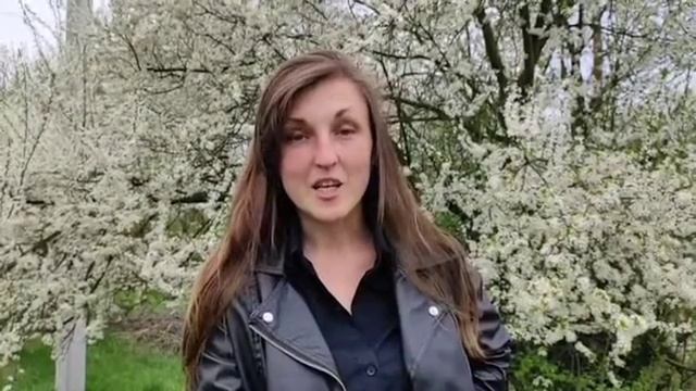 Сказка (стихотворение) смотреть онлайн