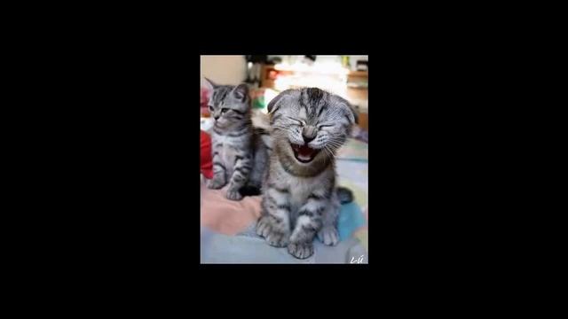 ПОДНИМАТЕЛЬ НАСТРОЕНИЯ! смотреть онлайн