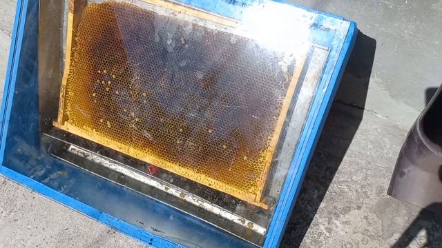 Солнечная воскотопка в 10 раз дешевле. Как сделать воскотопку своими руками.