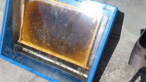 Солнечная воскотопка в 10 раз дешевле. Как сделать воскотопку своими руками.