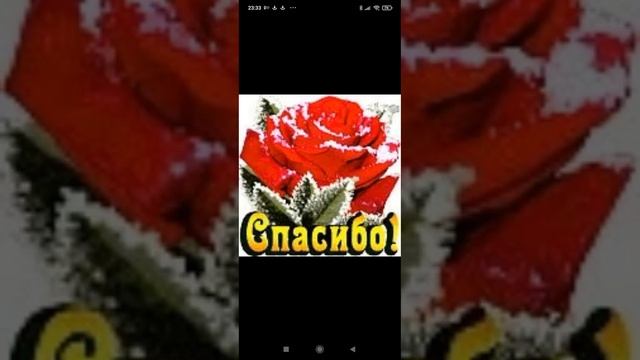 17.11.2023...?Мамина вишня ? в Саду! Гомель ♥️. Натали ?. смотреть онлайн