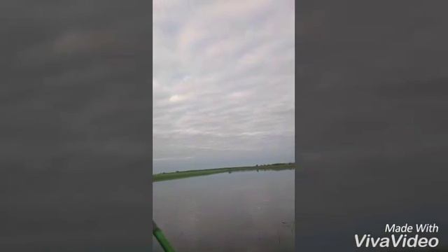 Online - рыбалка FISH CLUB смотреть онлайн