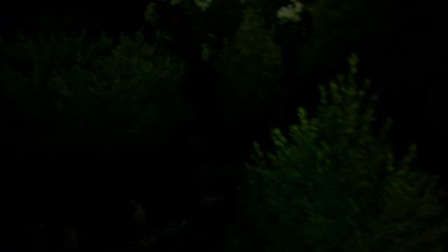 Фонтан на дачном участке. смотреть онлайн