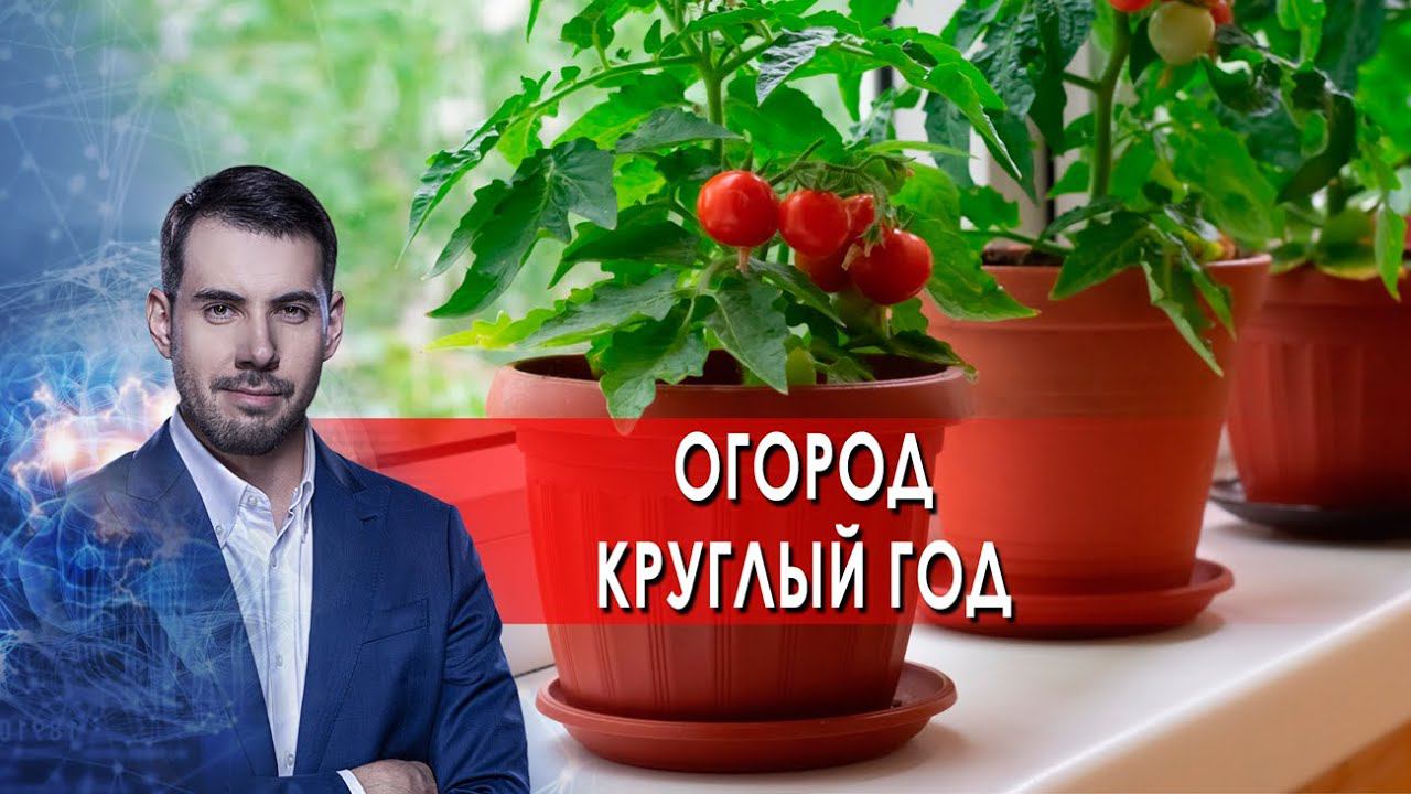 Огород круглый год. Самая полезная программа. (11.12.2021). смотреть онлайн