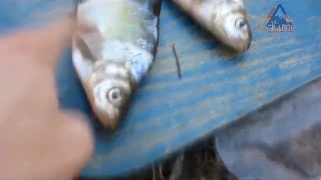 Водный поход по реке Сок 2010 смотреть онлайн