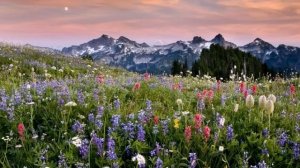 Хорошее настроение(Игорь Двуреченский).mp4