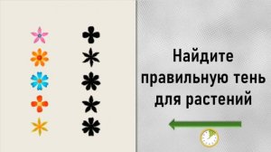 Проверка когнитивных способностей. Вопросы на память, мышление и наблюдательность. ТЕСТ на ДЕМЕНЦИЮ