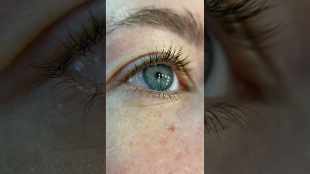 Ламинирование ресниц ДО/ПОСЛЕ смотреть онлайн