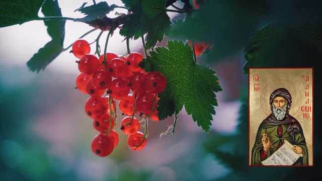 Свойства Божественной природы / Иоанн Дамаскин. Точное изложение Православной веры смотреть онлайн