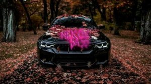 Andery Toronto - Травмат ~BASS~
