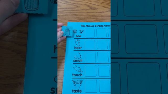 5 Senses Sorting Game смотреть онлайн