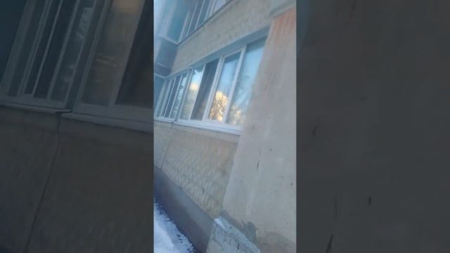 Как избавится от ёлки смотреть онлайн