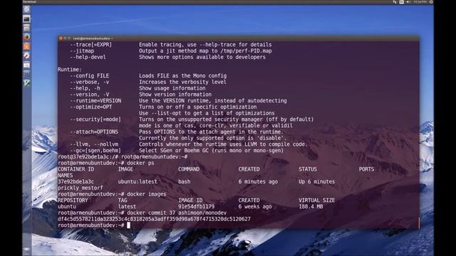 Mono C# .NET on Docker - Hello World смотреть онлайн