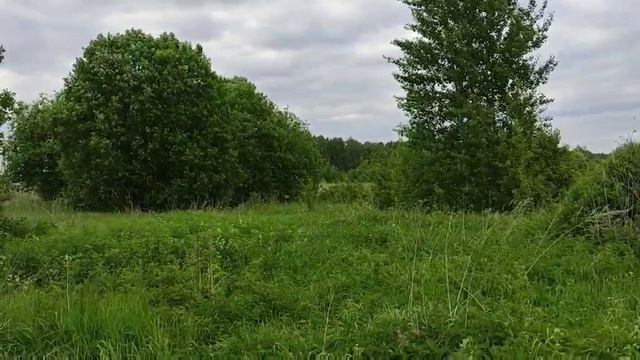 Участок в д. Сысоевка, 20 соток смотреть онлайн