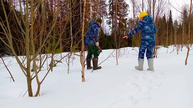 КУРИНЫЙ СУП.ЗАГОТОВКА ИВЫ. смотреть онлайн