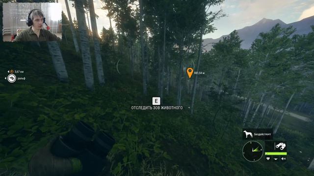 The HUNTER Call of the wild ламповый стрим смотреть онлайн