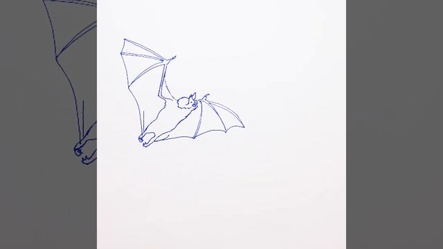 Как нарисовать Летучую мышь||How to draw a Bat смотреть онлайн