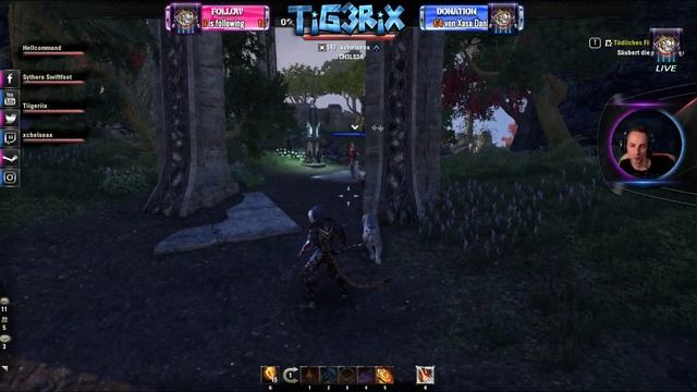 彡[Let's Play] ★TIGERGAMING★ | ? TESO ? | FOLGE #56 [DE/HD] смотреть онлайн