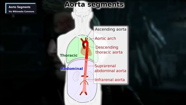 ER Doctor Reacts To Until Dawn Best Deaths