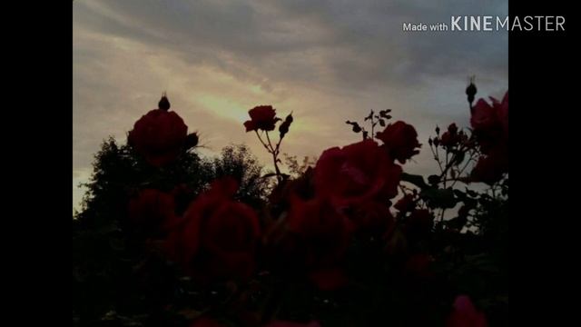 Нарезка песен для флешмоба/Флешмобчик?/без мата смотреть онлайн