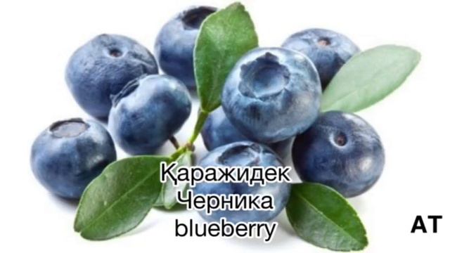 Ағылшын тілі: Жемістер.@Асем Танбаева.АТ. смотреть онлайн