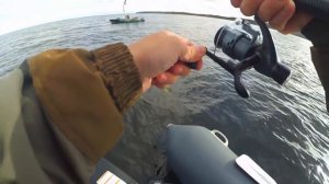 ТРЕСКА / ЗУБАТКА /Рыбалка в Белом море / Хороший клев