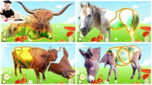 Животные для детей. Картинки из отрезков. Развивающий мультик про животных