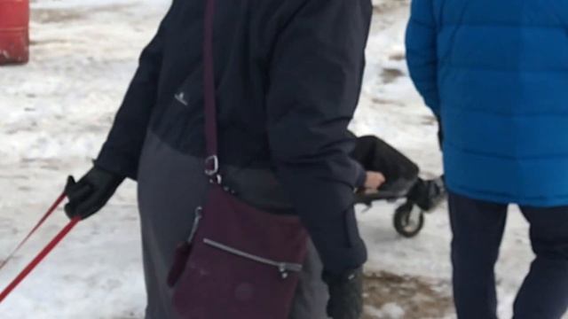 фестиваль Хаски 2019 смотреть онлайн