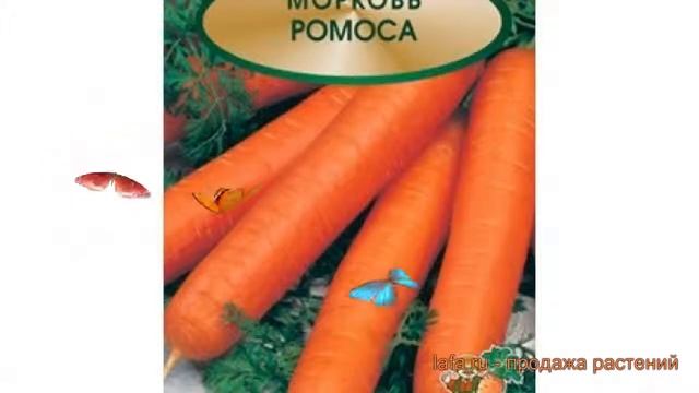 Морковь обыкновенный Ромоса (romosa) ? морковь Ромоса обзор: как сажать семена моркови Ромоса смотреть онлайн