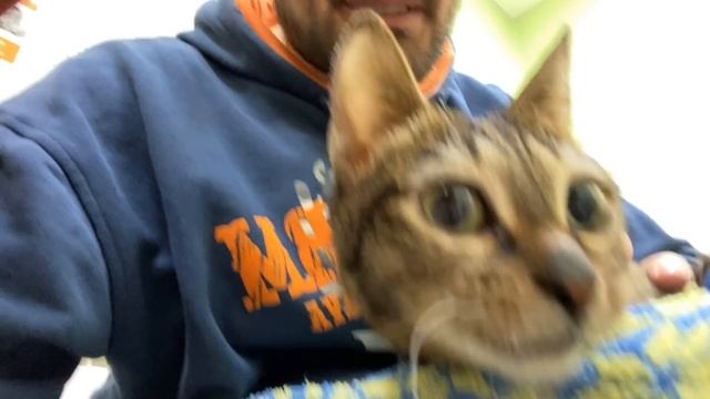 Айда проведывать Тёпика! смотреть онлайн