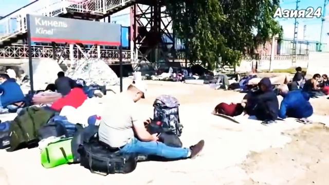 правительство приняла решение Л.Калашников | СНГ | Азия24 смотреть онлайн