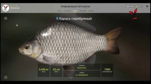 РР 4. Жизнь начинающего с нуля