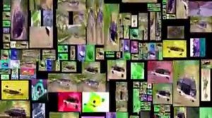 Generally a lot of gummy bears