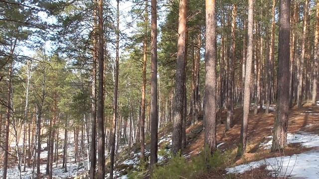 Еще не грязь, но лужи глубокие! Соболь 4х4 АКПП на Сорочьи Скалы! смотреть онлайн