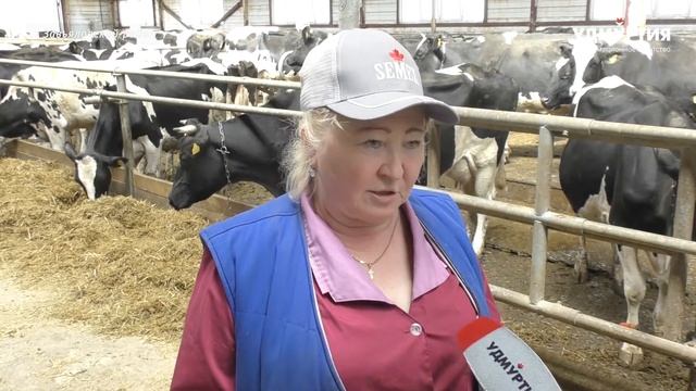 Производство натуральных молочных продуктов в Удмуртии смотреть онлайн