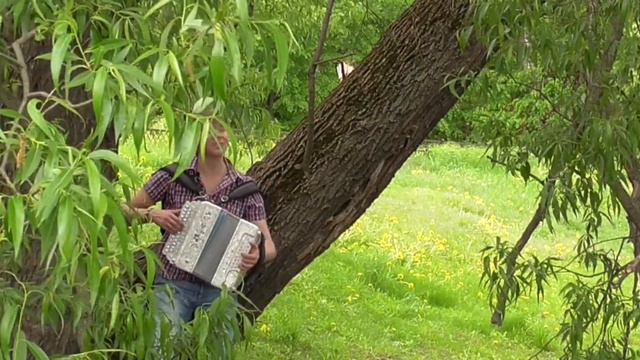 Игорь Шипков - Тополь и рябина смотреть онлайн