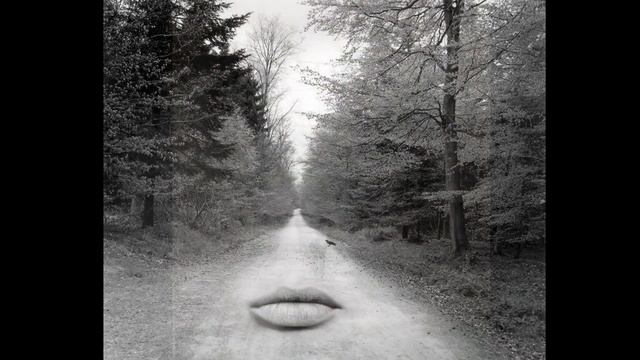 Виктория Фёдорова читает стихи Дмитрия Копьёва. Лица... смотреть онлайн