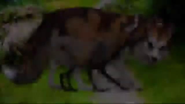 wcmv почему так больно? Original!!1!!! Идею не брать смотреть онлайн