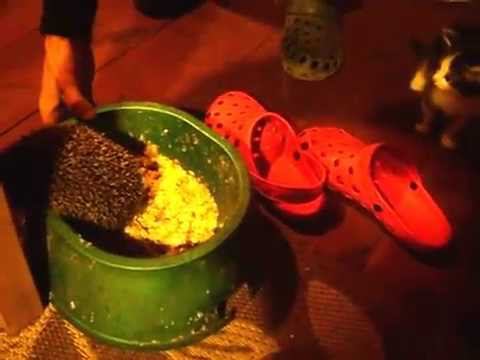 Ёжик в миске смотреть онлайн