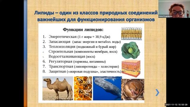 Кудряшова Е.В. Энзимология на службе медицине смотреть онлайн