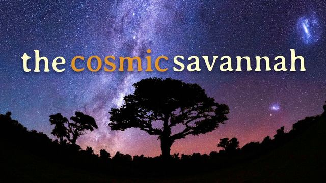 Episode 63: How Galaxies Evolve – The Quest for Cold Gas смотреть онлайн