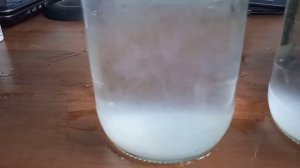 Способ определить беременность коз по молоку, проверим?