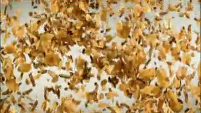 ACTIVIA CON CEREALES _ FINAL.mpg смотреть онлайн
