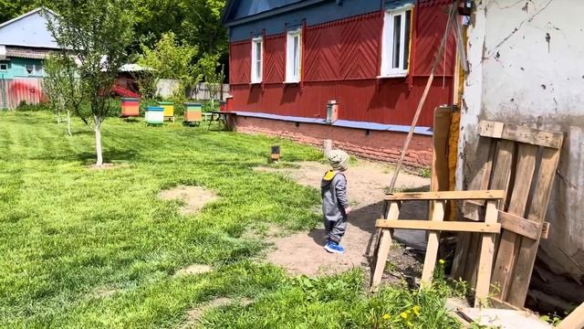 ГЛИНА | ХРУСT | CRUNCН | CLAY | БЕЗЫМЯННЫЙ | UZBEK BLUE | ГОЛУБАЯ УЗБЕЧКА смотреть онлайн