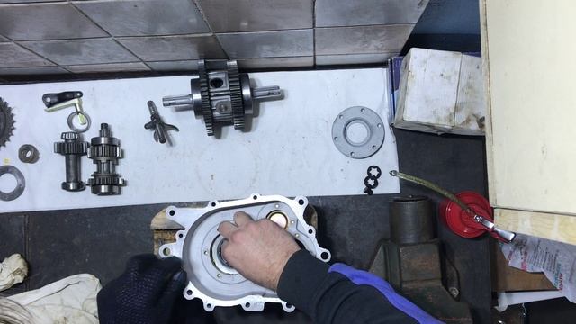 Сборка редуктора ТГ200, Муравей